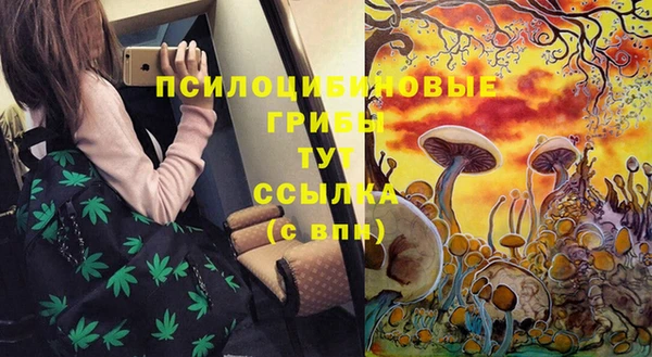 apvp Кулебаки