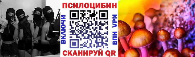 Псилоцибиновые грибы мицелий Ульяновск