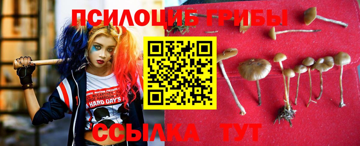 Псилоцибиновые грибы Psilocybe  Псилоцибиновые грибы MAGIC MUSHROOMS  Ульяновск 