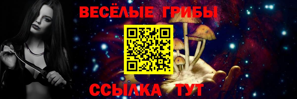 купить наркотики цена  Галлюциногенные грибы MAGIC MUSHROOMS  Вход с VPN  Ульяновск 