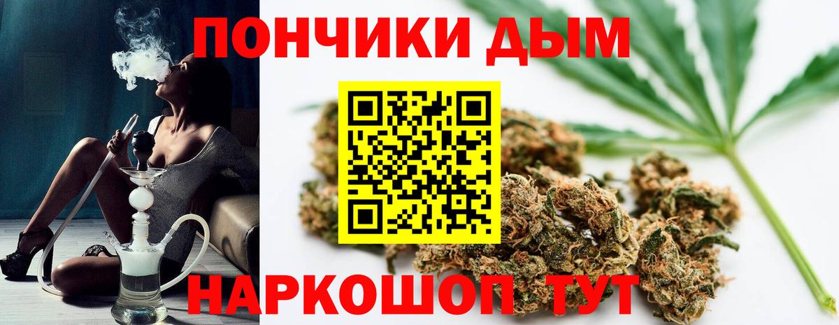 Бошки Шишки гибрид Ульяновск